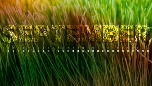 287785 (a): :1920x1080